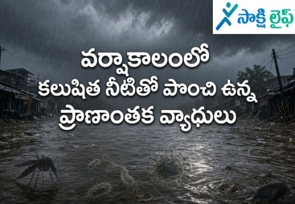 Deadly Diseases : వర్షాకాలంలో కలుషిత నీటితో పొంచి ఉన్న ప్రాణాంతక వ్యాధులు
