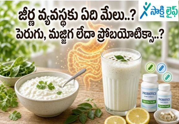 Better for Digestion : జీర్ణ వ్యవస్థకు ఏది మేలు..? పెరుగు, మజ్జిగ లేదా ప్రోబయోటిక్సా..?
