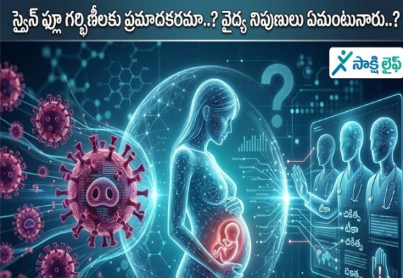 Swine Flu Dangerous for Pregnant Women : స్వైన్ ఫ్లూ గర్భిణీలకు ప్రమాదకరమా..? వైద్య నిపుణులు ఏమంటున్నారు..? 