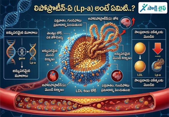 Lp-a : లిపోప్రొటీన్-ఏ (Lp-a) అంటే ఏమిటి..?