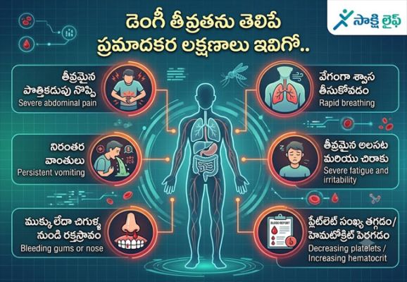 Severe Dengue Warning Signs : డెంగీ తీవ్రతను తెలిపే ప్రమాదకర లక్షణాలు ఇవిగో.. 
