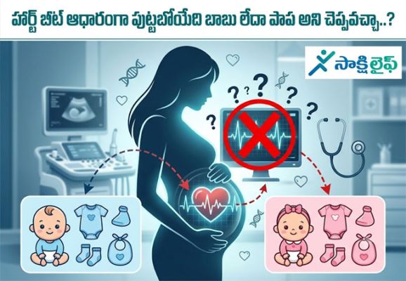 Heartbeat : హార్ట్ బీట్ ఆధారంగా పుట్టబోయేది బాబు లేదా పాప అని చెప్పవచ్చా..? 