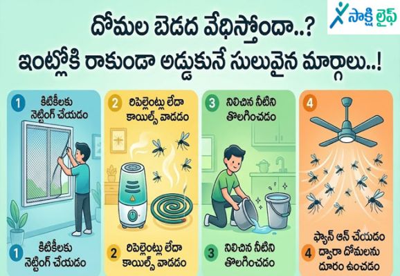 Mosquitoes : దోమల బెడద వేధిస్తోందా..? ఇంట్లోకి రాకుండా అడ్డుకునే సులువైన మార్గాలు..!