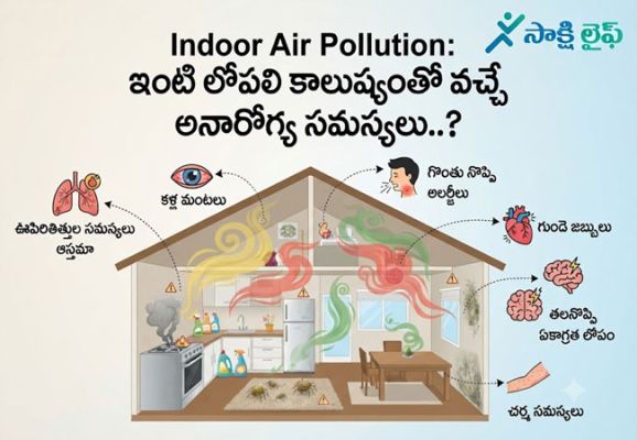 Indoor Air Pollution: ఇంటి లోపలి కాలుష్యంతో వచ్చే అనారోగ్య సమస్యలు..?