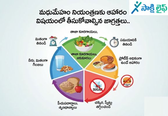 Diabetes Control : మధుమేహం నియంత్రణకు ఆహారం విషయంలో తీసుకోవాల్సిన జాగ్రత్తలు..