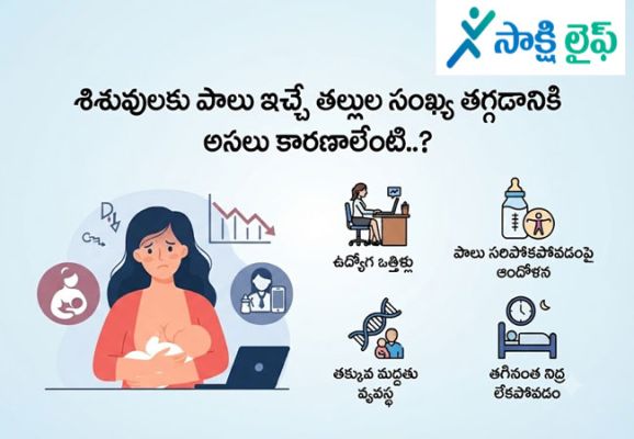 Mother Milk : శిశువులకు పాలు ఇచ్చే తల్లుల సంఖ్య తగ్గడానికి అసలు కారణాలేంటి..?