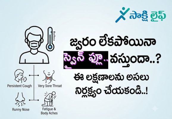 Swine Flu : జ్వరం లేకపోయినా 'స్వైన్ ఫ్లూ' వస్తుందా..? ఈ లక్షణాలను అసలు నిర్లక్ష్యం చేయకండి..!