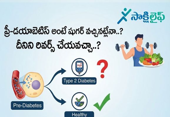Prediabetes : ప్రీ-డయాబెటిస్‌ అంటే షుగర్ వచ్చినట్లేనా..? దీనిని రివర్స్ చేయవచ్చా..? 