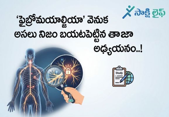 New Study : ‘ఫైబ్రోమయాల్జియా’ వెనుక అసలు నిజం బయటపెట్టిన తాజా అధ్యయనం..!