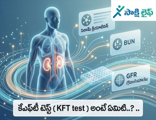 Health care : కేఎఫ్‌టీ టెస్ట్ (KFT test ) అంటే ఏమిటి..?