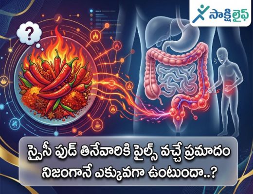 Spicy Food : స్పైసీ ఫుడ్ తినేవారికి పైల్స్ వచ్చే ప్రమాదం నిజంగానే ఎక్కువగా ఉంటుందా..? 