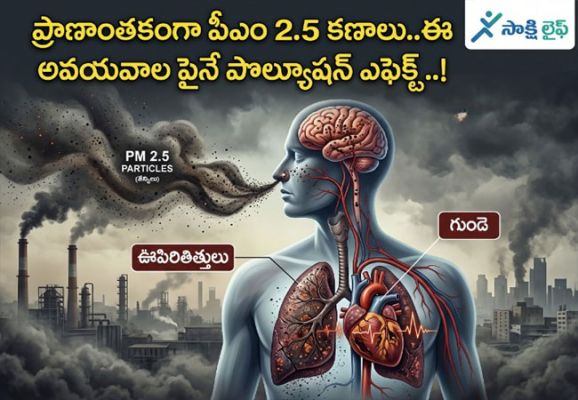 Deadly PM2.5 Particles : ప్రాణాంతకంగా పీఎం 2.5 కణాలు..ఈ అవయవాలపైనే పొల్యూషన్ ఎఫెక్ట్..!