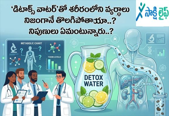 Detox Water : 'డిటాక్స్ వాటర్'తో శరీరంలోని వ్యర్థాలు నిజంగానే తొలగిపోతాయా..? నిపుణులు ఏమంటున్నారు..?