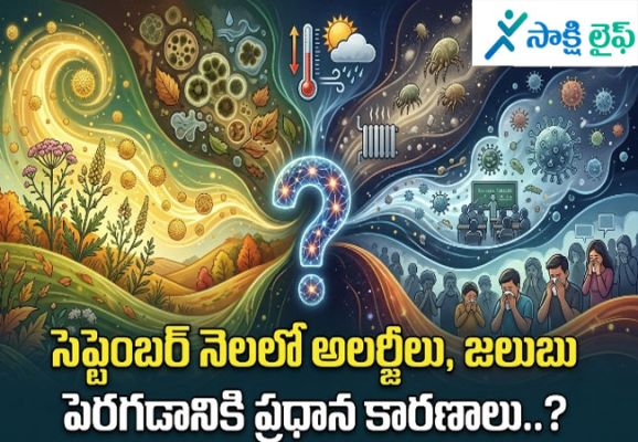 Allergies : సెప్టెంబర్ నెలలో  అలర్జీలు, జలుబు పెరగడానికి ప్రధాన కారణాలు..?  