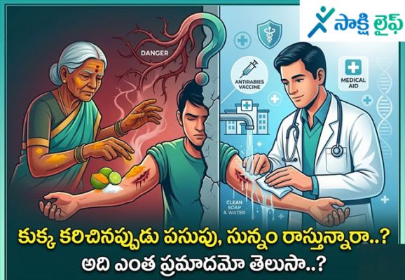 Dog bite : కుక్క కరిచినప్పుడు పసుపు, సున్నం రాస్తున్నారా..? అది ఎంత ప్రమాదమో తెలుసా..?