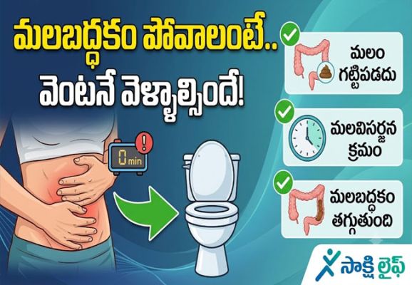 Constipation Relief : మలబద్ధకం తగ్గాలంటే టాయిలెట్‌కు వచ్చిన వెంటనే మలవిసర్జన చేయడం ఎందుకు ముఖ్యం..?