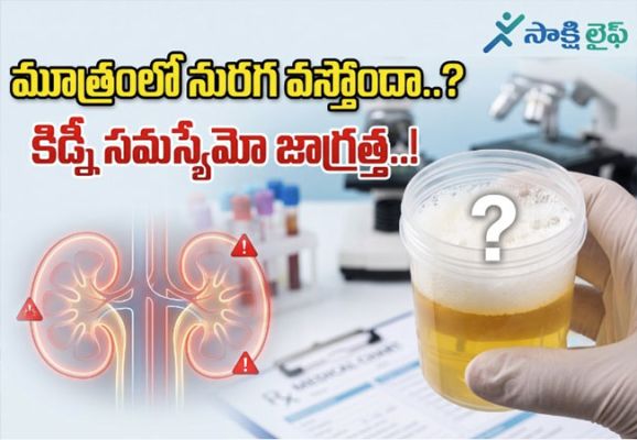 Kidney Problems : మూత్రంలో నురగ వస్తోందా..? కిడ్నీ సమస్యేమో జాగ్రత్త..!