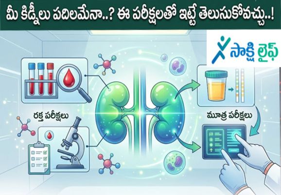 Kidneys Health care : మీ కిడ్నీలు పదిలమేనా..? ఈ పరీక్షలతో ఇట్టే తెలుసుకోవచ్చు..!