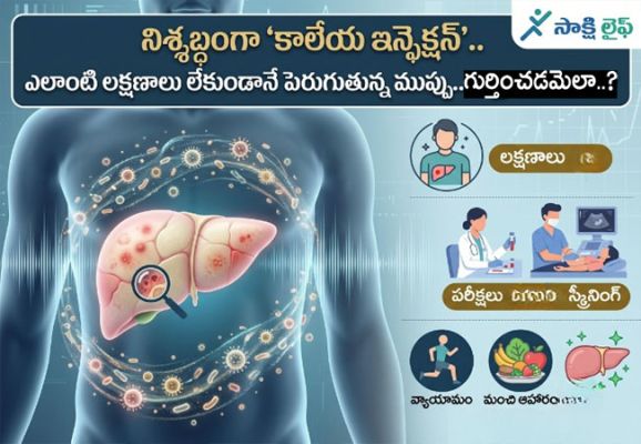 Silent Liver Infection : నిశ్శబ్దంగా 'కాలేయ ఇన్ఫెక్షన్'.. ఎలాంటి లక్షణాలు లేకుండానే పెరుగుతున్న ముప్పు.. గుర్తించడమెలా..?