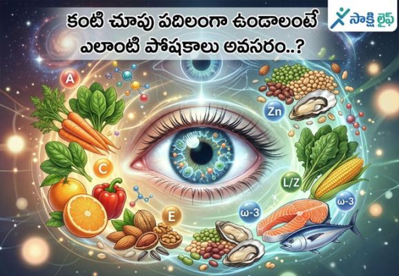 Healthy Eyesight : కంటి చూపు పదిలంగా ఉండాలంటే ఎలాంటి పోషకాలు అవసరం..? 