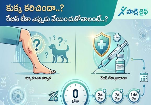 World Rabies Day 2026 : కుక్క కరిచిందా..? రేబిస్ టీకా ఎప్పుడు వేయించుకోవాలంటే..?