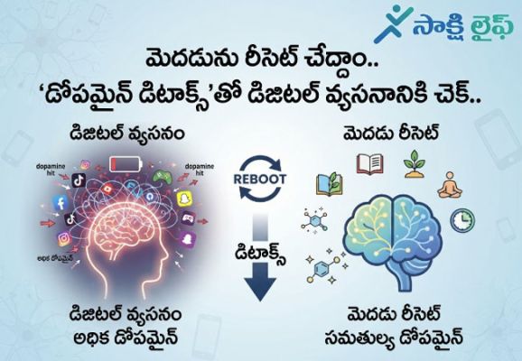 Dopamine : మెదడును రీసెట్ చేద్దాం.. ‘డోపమైన్ డిటాక్స్’తో డిజిటల్ వ్యసనానికి చెక్..  