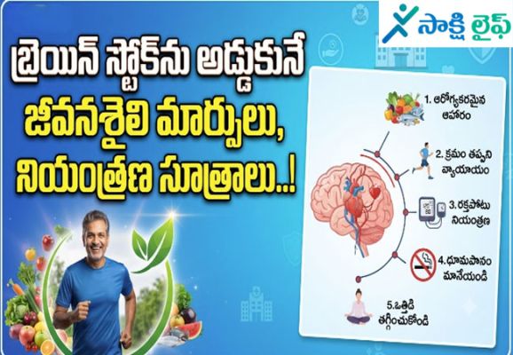 Risk of Brain Stroke : బ్రెయిన్ స్ట్రోక్‌ను అడ్డుకునే జీవనశైలి మార్పులు, నియంత్రణ సూత్రాలు..!
