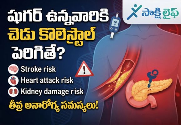 Diabetes : షుగర్ ఉన్నవారికి చెడుకొలెస్ట్రాల్ పెరిగితే ఎలాంటి అనారోగ్య సమస్యలు వస్తాయి..? 