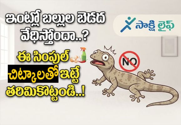 Troubled by Lizards at Home : ఇంట్లో బల్లుల బెడద వేధిస్తోందా..? ఈ సింపుల్ చిట్కాలతో ఇట్టే తరిమికొట్టండి..!