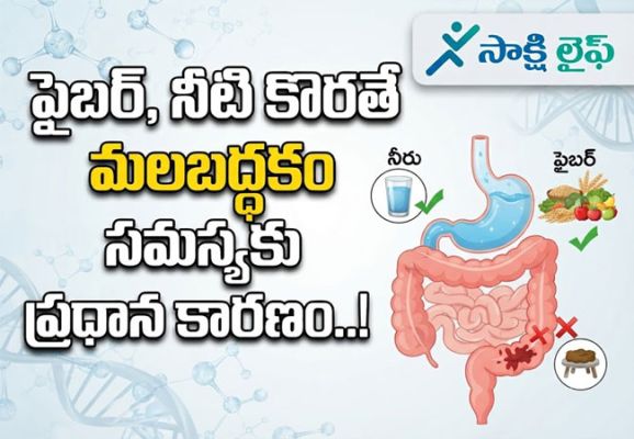 Causes of Constipation : ఫైబర్, నీటి కొరతే మలబద్ధకం సమస్యకు ప్రధాన కారణం..