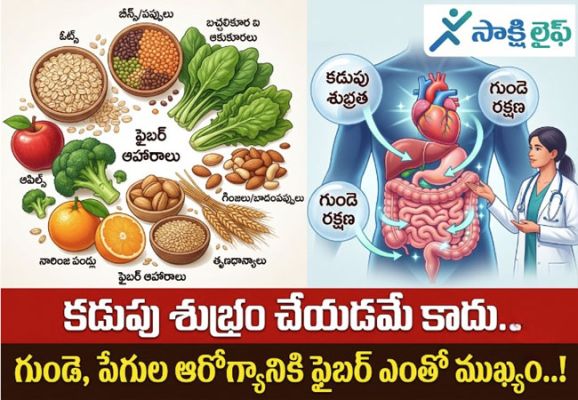Fiber : కడుపు శుభ్రం చేయడమే కాదు.. గుండె, పేగుల ఆరోగ్యానికి ఫైబర్ ఎంతో ముఖ్యం..!
