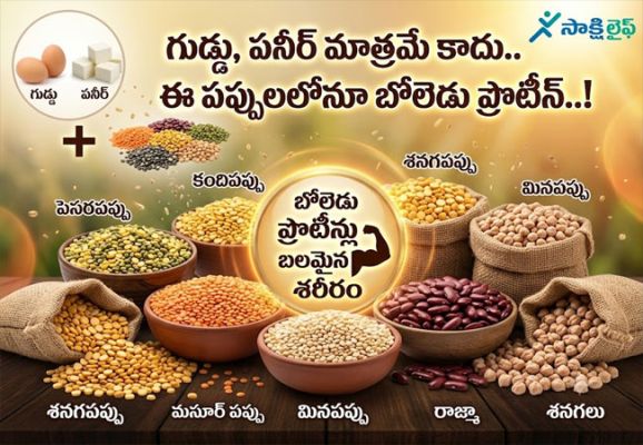 Not Just Eggs and Paneer : గుడ్డు, పనీర్ మాత్రమే కాదు.. ఈ పప్పులలోనూ బోలెడు ప్రొటీన్..!
