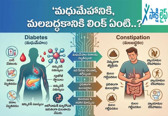 Between Diabetes and Constipation : మధుమేహానికి, మలబద్ధకానికి లింక్ ఏంటి..? 
