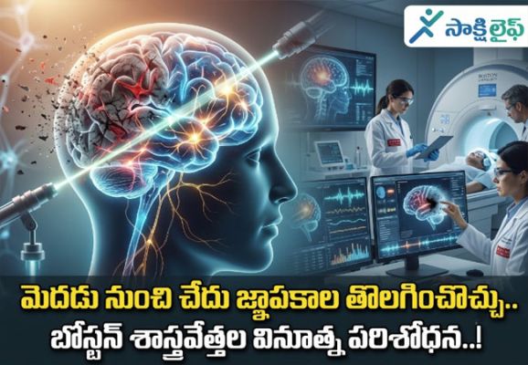 Bad Memories : మెదడు నుంచి చేదు జ్ఞాపకాల తొలగించొచ్చు.. బోస్టన్ శాస్త్రవేత్తల వినూత్న పరిశోధన..!