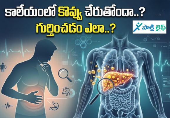 Fatty Liver : కాలేయంలో కొవ్వు చేరుతోందా..? గుర్తించడం ఎలా..?