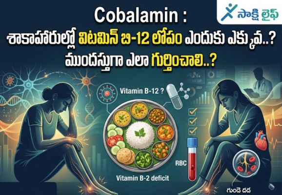 Cobalamin : శాకాహారుల్లో విటమిన్ బి-12 లోపం ఎందుకు ఎక్కువ..? ముందస్తుగా ఎలా గుర్తించాలి..?