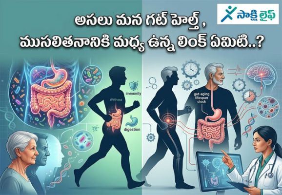 Gut Health and Aging : అసలు మన గట్ హెల్త్, ముసలితనానికి మధ్య ఉన్న లింక్ ఏమిటి..? 