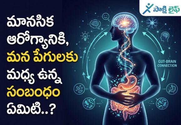 Mental Health and Gut Health : మానసిక ఆరోగ్యానికి, మన పేగులకు మధ్య ఉన్న సంబంధం ఏమిటి..?