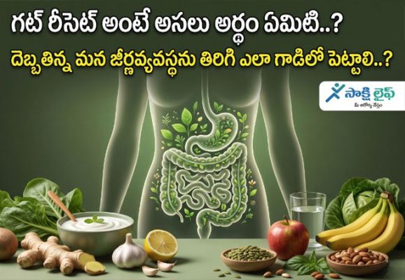 Gut Reset : గట్ రీసెట్ అంటే అసలు అర్థం ఏమిటి..? దెబ్బతిన్న మన జీర్ణవ్యవస్థను తిరిగి ఎలా గాడిలో పెట్టాలి..?