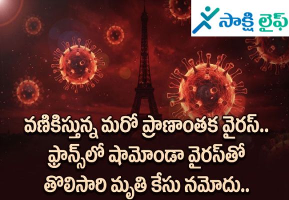Shamonda Virus : వణికిస్తున్న మరో ప్రాణాంతక వైరస్.. ఫ్రాన్స్‌లో 'షామోండా వైరస్'తో తొలిసారి మృతి కేసు నమోదు.. 
