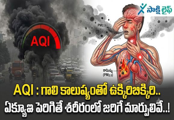 AQI : గాలి కాలుష్యంతో ఉక్కిరిబిక్కిరి.. ఏక్యూఐ పెరిగితే శరీరంలో జరిగే మార్పులివే..!