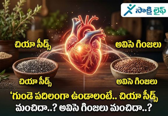 Chia Seeds vs Flaxseeds : గుండె పదిలంగా ఉండాలంటే.. చియా సీడ్స్ మంచిదా..? అవిసె గింజలు మంచిదా..?