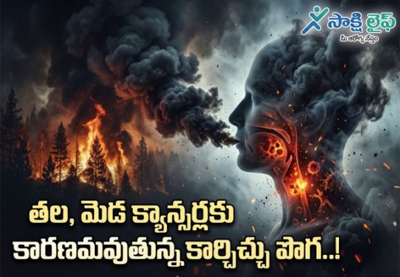 Wildfire Smoke : తల, మెడ క్యాన్సర్లకు కారణమవుతున్న కార్చిచ్చు పొగ..!