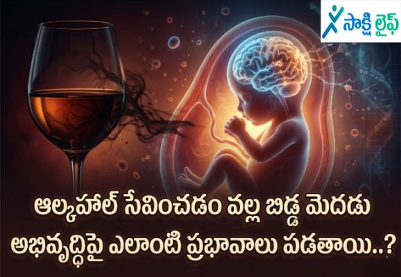 Pregnancy : ఆల్కహాల్ సేవించడం వల్ల బిడ్డ మెదడు అభివృద్ధిపై ఎలాంటి ప్రభావాలు పడతాయి..?
