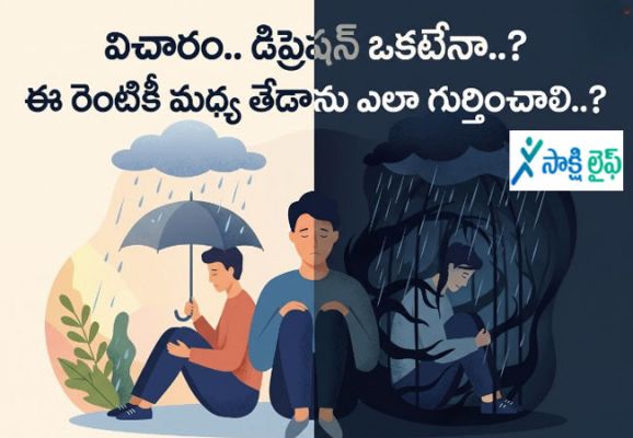 Sadness vs. Depression : విచారం.. డిప్రెషన్ ఒకటేనా..? ఈ రెంటికీ మధ్య తేడాను ఎలా గుర్తించాలి..?