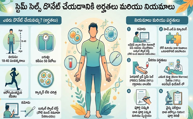 స్టెమ్ సెల్స్ ఎలాంటి వాళ్ళు డొనేట్ చేయవచ్చు..? నియమాలు ఏంటి..? 