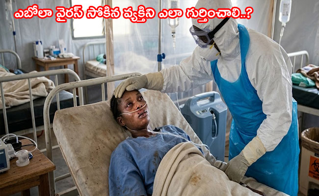 ఎబోలా వైరస్‌కు సంబంధించిన అపోహలు ఏమిటి..? 