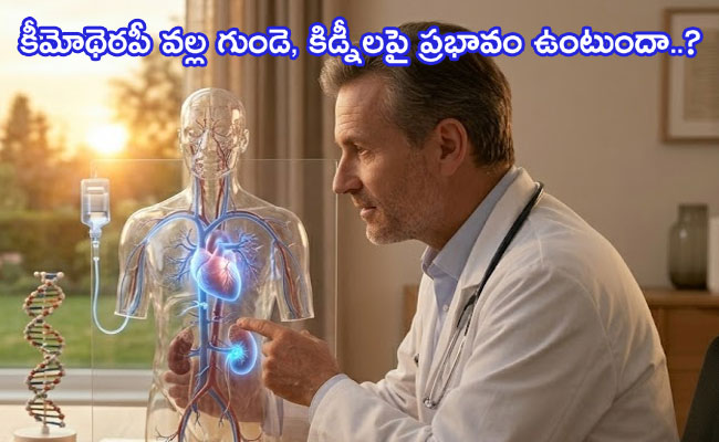 Heart and Kidneys : కీమోథెరపీ వల్ల గుండె, కిడ్నీలపై ప్రభావం ఉంటుందా..? 