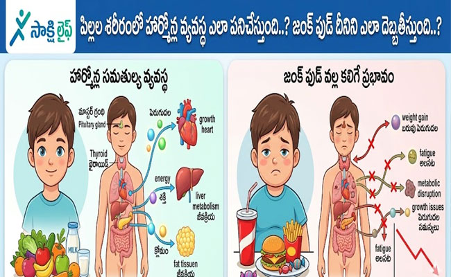 Healthy Alternatives to Junk Food : జంక్ ఫుడ్‌కు బదులుగా పిల్లల హార్మోన్ల ఆరోగ్యానికి ఉపయోగపడే ఆహారాలు ఏవి..?
