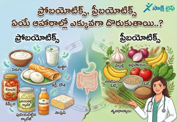 Probiotics and Prebiotics : ప్రోబయోటిక్స్, ప్రీబయోటిక్స్ ఏయే ఆహారాల్లో ఎక్కువగా దొరుకుతాయి..? 